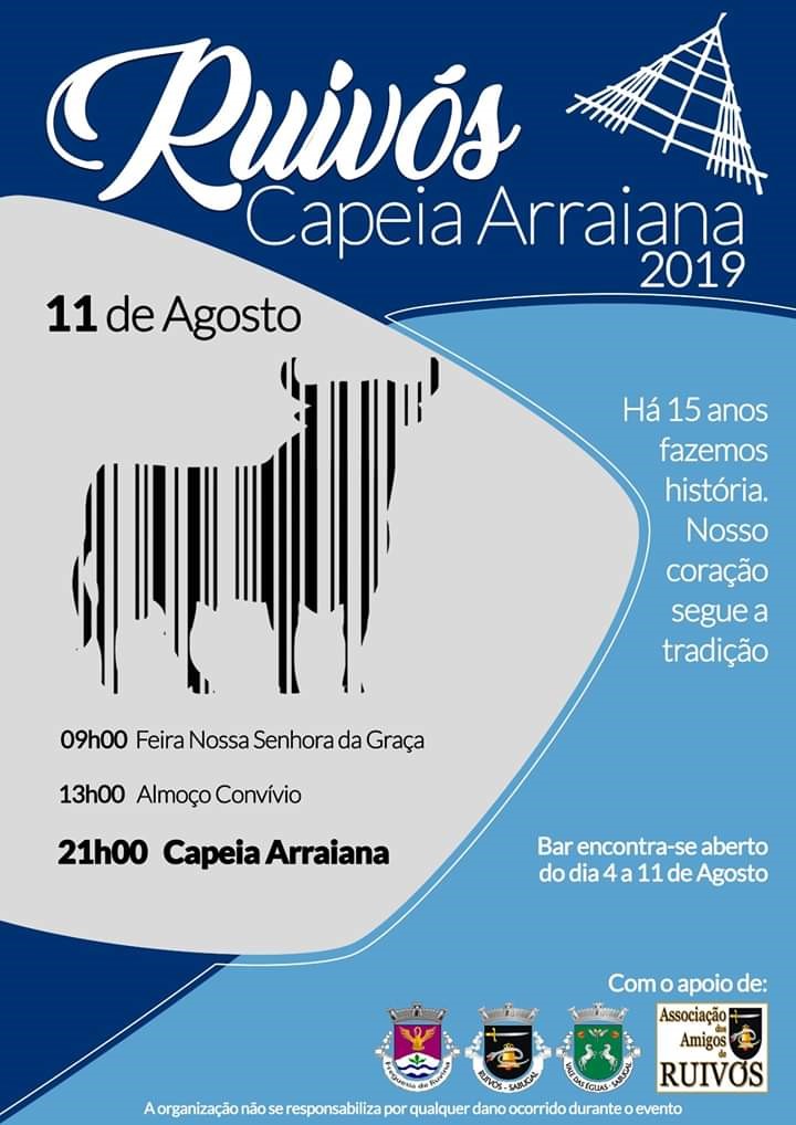 Resumo da Capeia Arraiana de Ruivós 2019